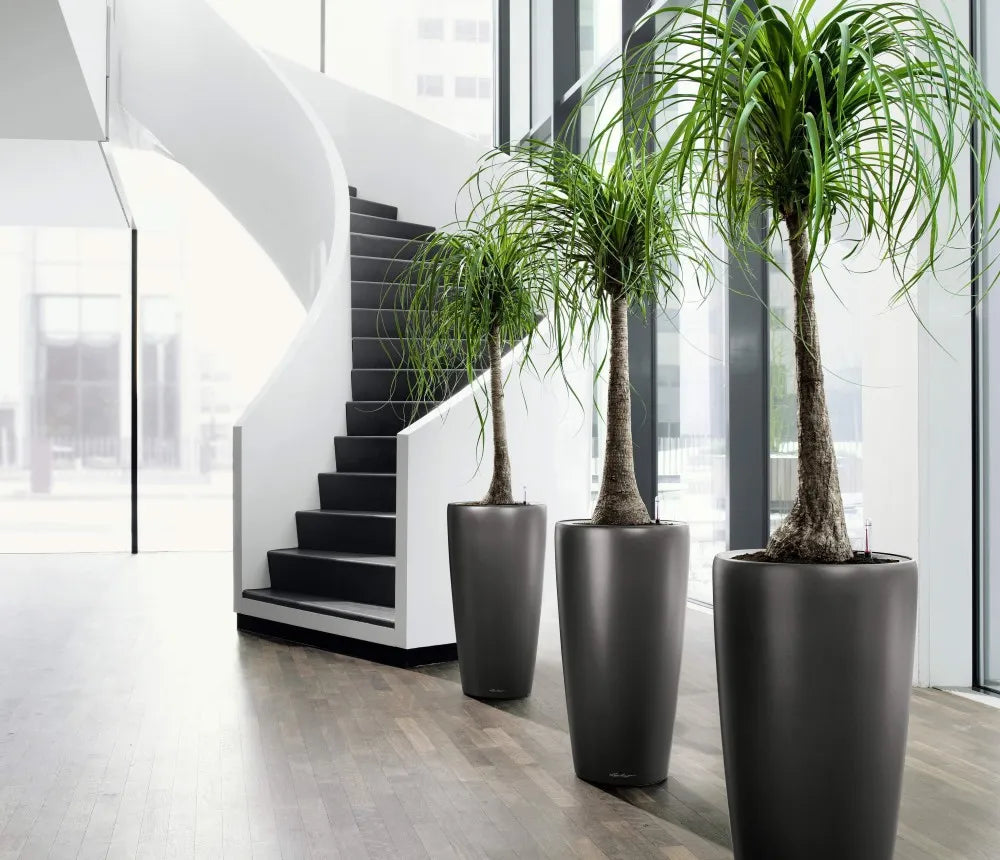 Creative Interior Plant Design Ideas – Interior Gardens