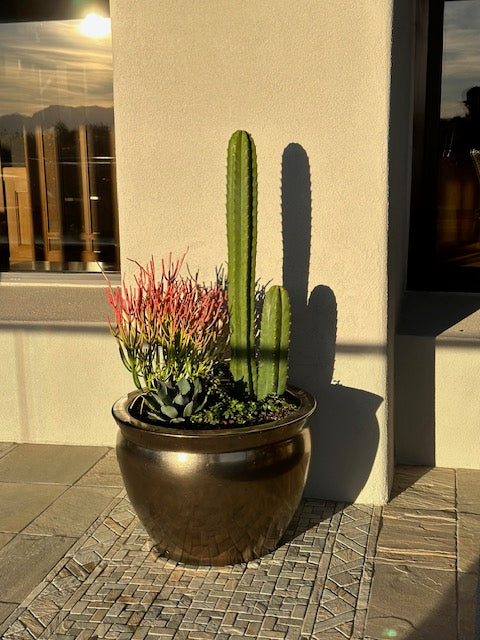 Succulent Container Gardens – Interior Gardens