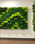 Living Walls