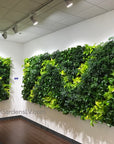 Living Walls